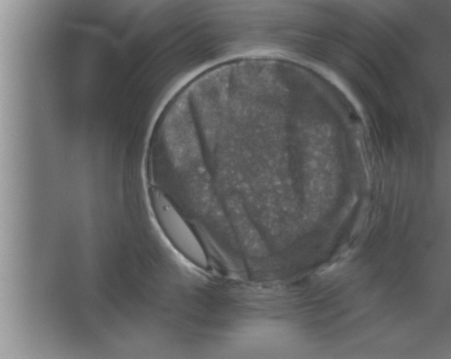 X0000067460959200604281825