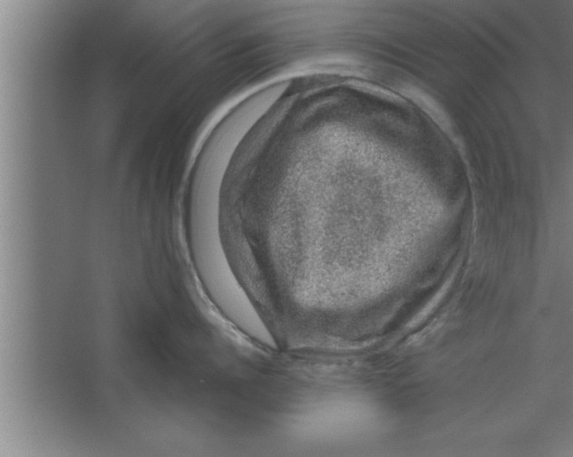 X0000067460960200604281825