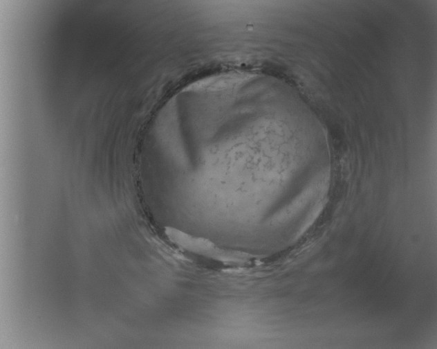 X0000067460961200604281824