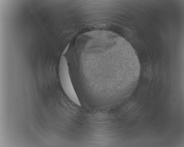 X0000067460962200604281824