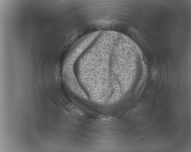 X0000067460964200604281824