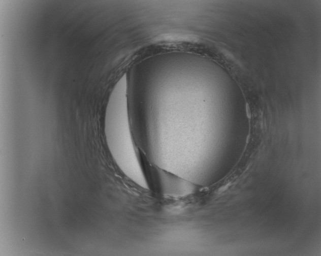 X0000067460965200604281824