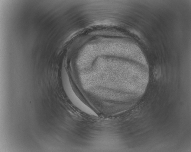 X0000067460968200604281824