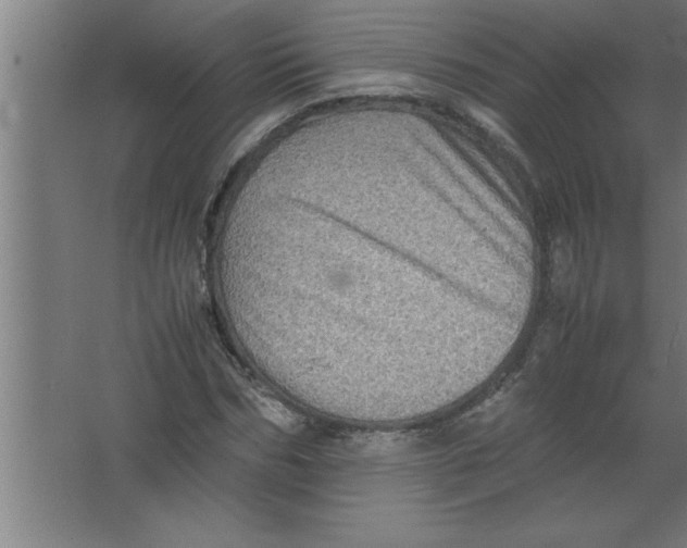 X0000067460970200604281824