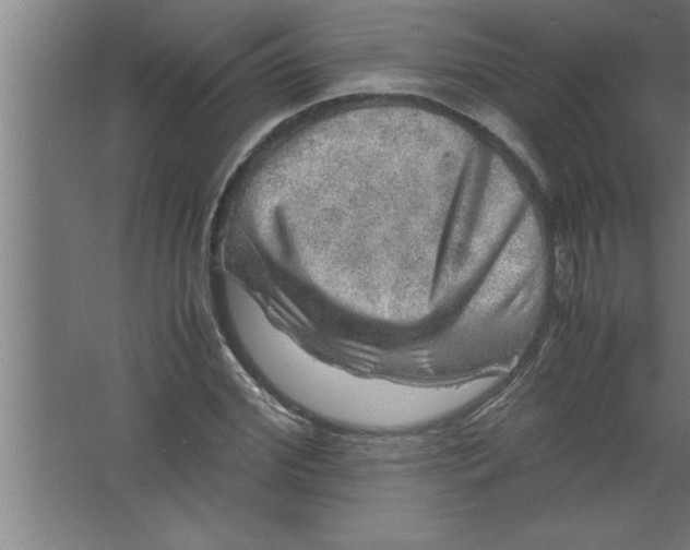 X0000067460972200604281824