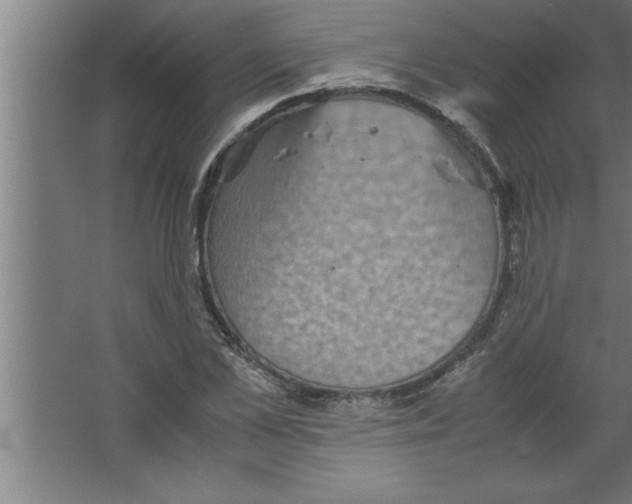 X0000067460973200604281824