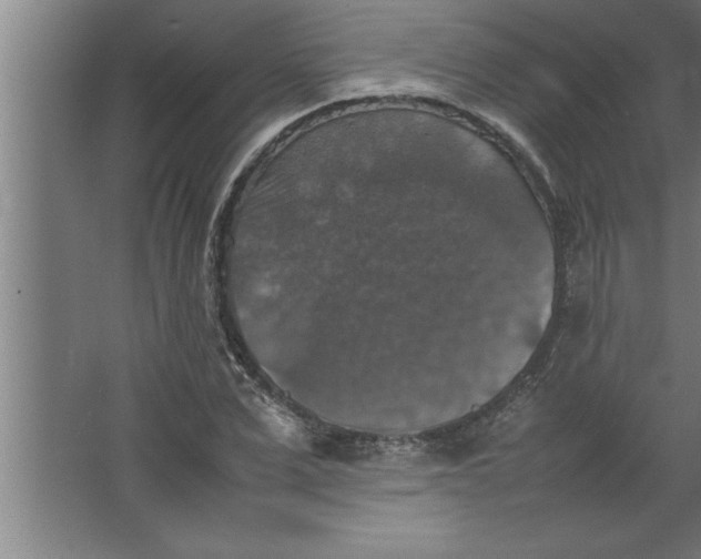 X0000067460975200604281824