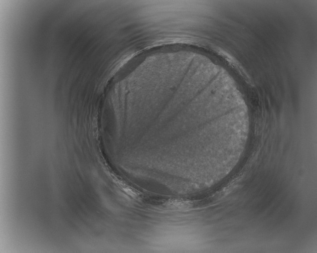 X0000067460977200604281824