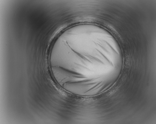 X0000067460978200604281824