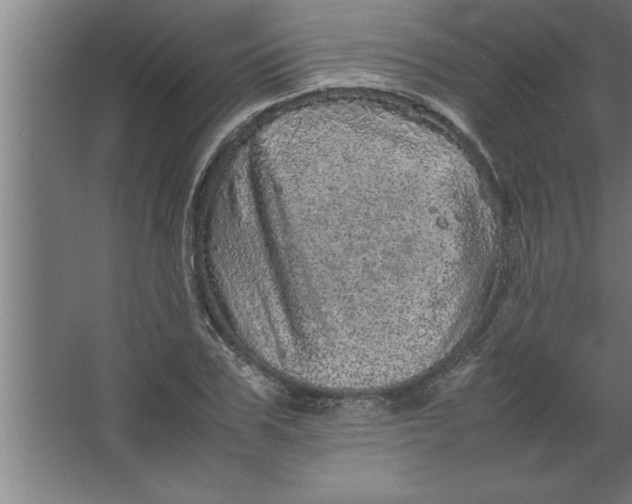 X0000067460979200604281824