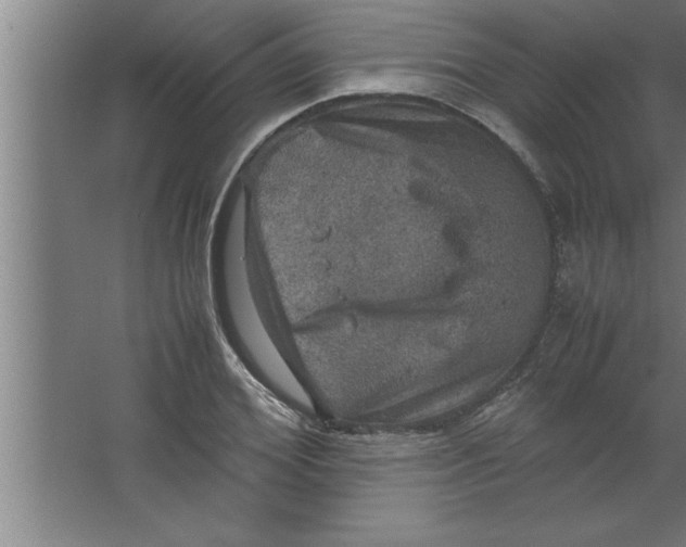 X0000067460980200604281824