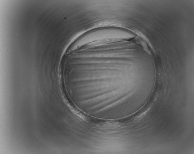 X0000067460981200604281824