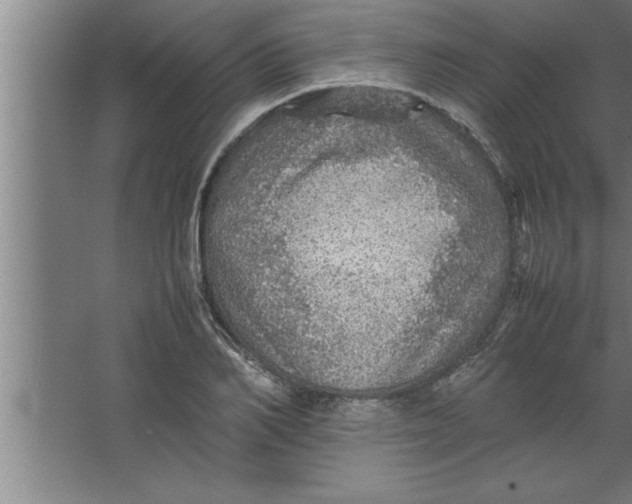 X0000067460982200604281824