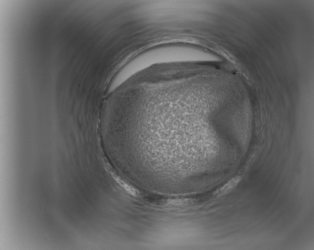 X0000067460985200604281823