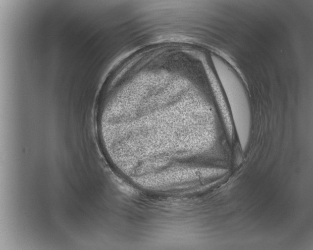 X0000067460987200604281823