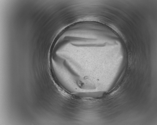 X0000067460988200604281823