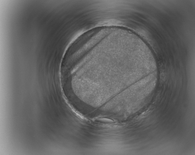 X0000067460990200604281823