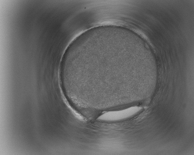 X0000067460991200604281823