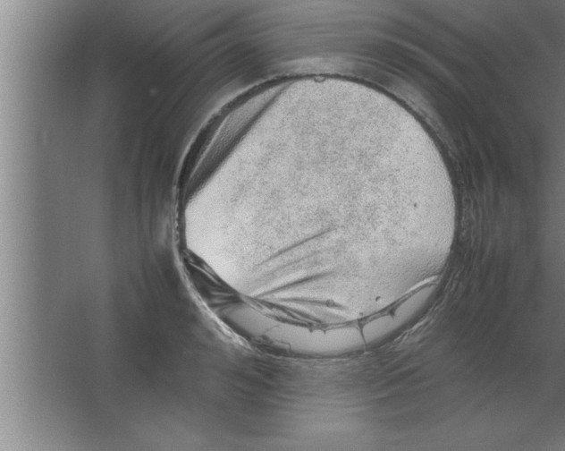 X0000067460992200604281823