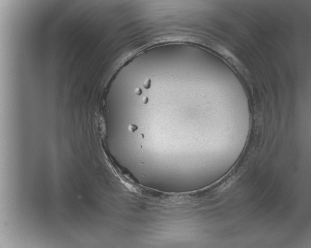 X0000067460993200604281823