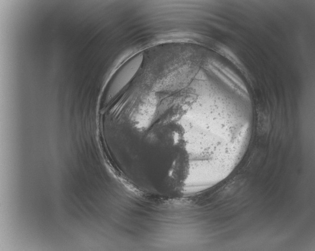 X0000067460994200604281823