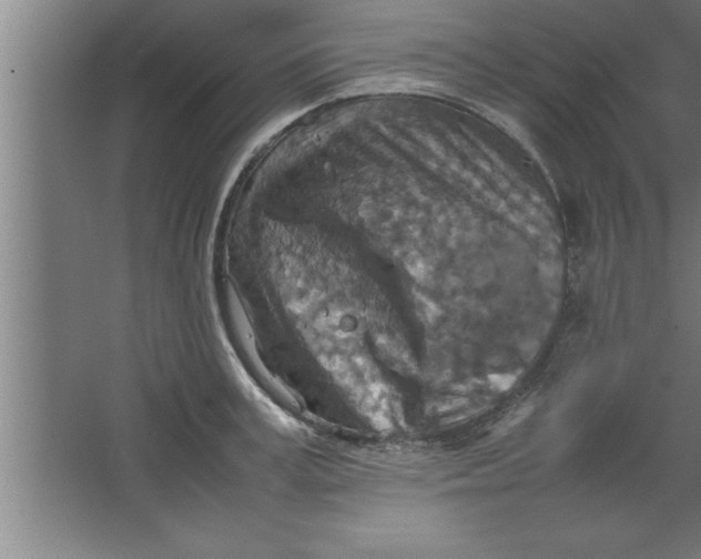 X0000067460995200604281823