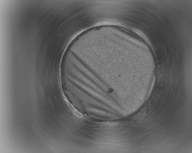 X0000067460996200604281823