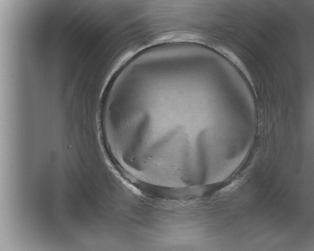 X0000067460997200604281823