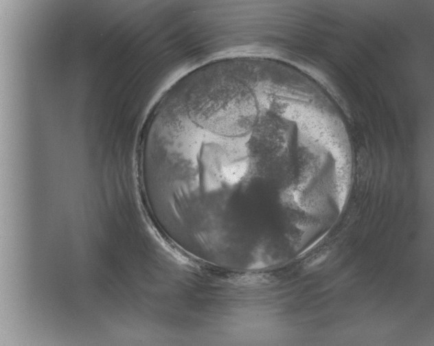 X0000067460998200604281823