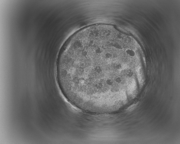 X0000067460999200604281823