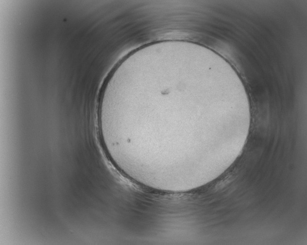 X0000067461000200604281823