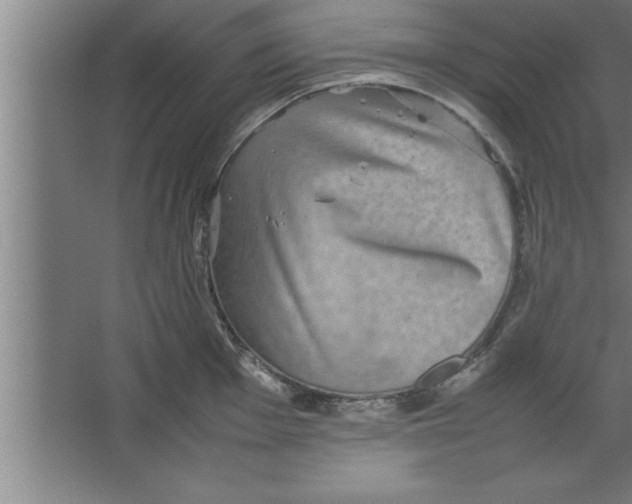 X0000067461001200604281823