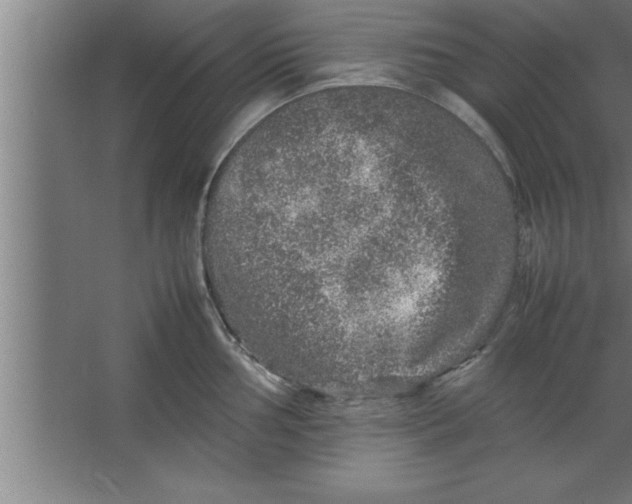 X0000067461002200604281823