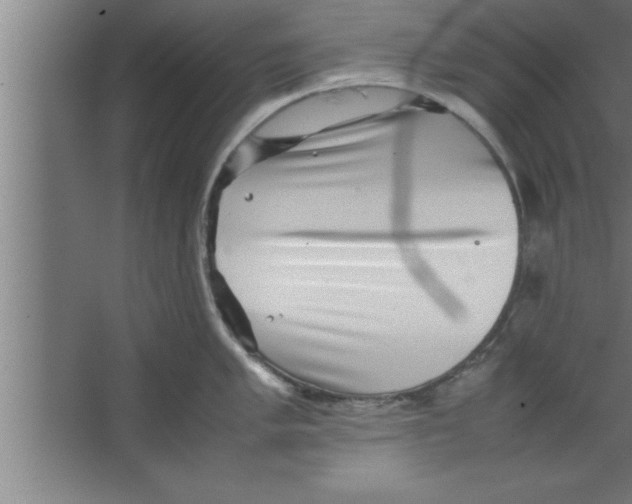 X0000067461005200604281823