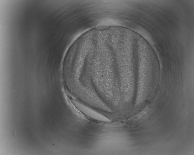 X0000067461008200604281823