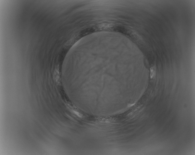 X0000067461011200604281822