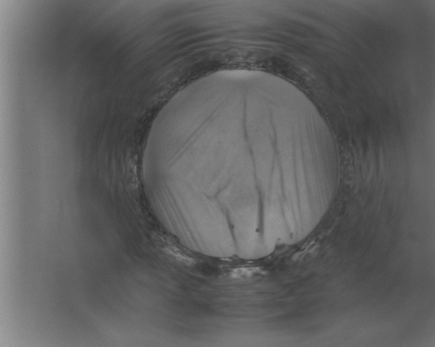 X0000067461013200604281822