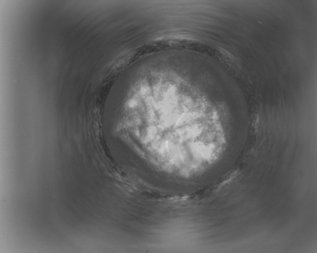 X0000067461014200604281822