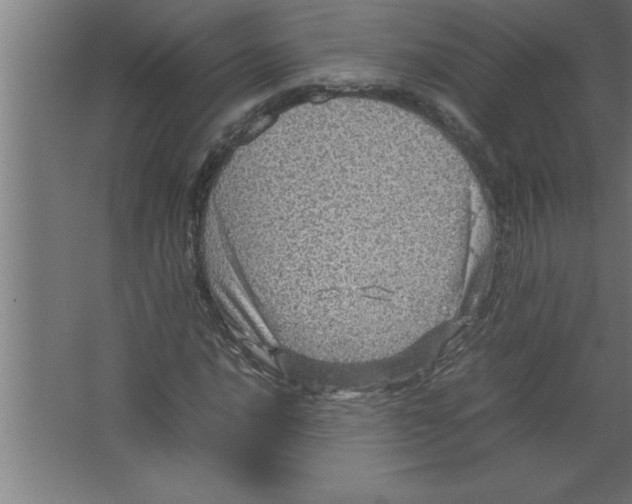 X0000067461016200604281822