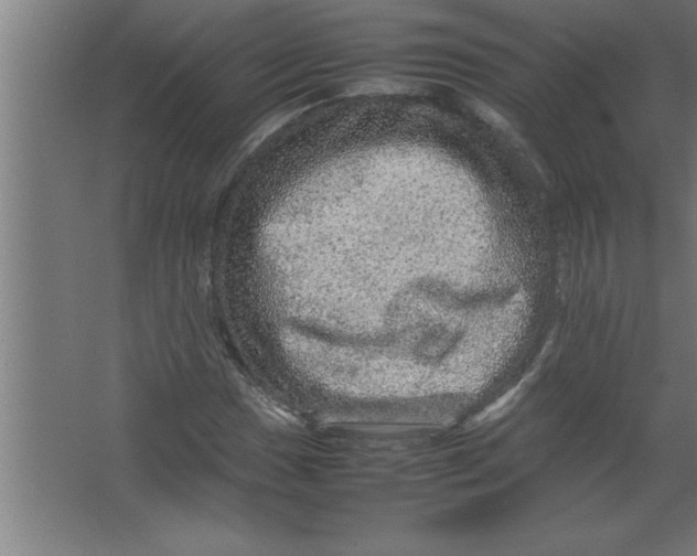 X0000067461017200604281822