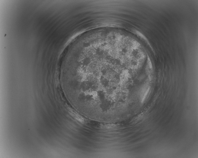 X0000067461019200604281822