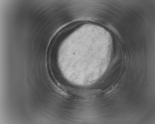 X0000067461020200604281822