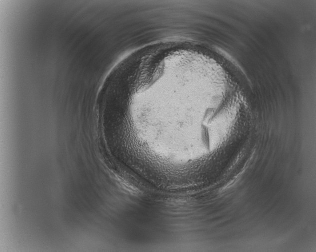 X0000067461021200604281822