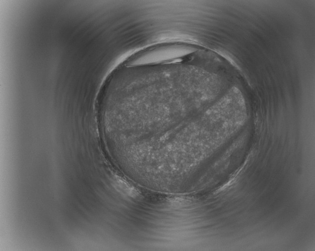 X0000067461022200604281822