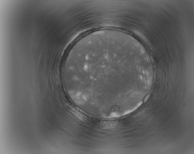 X0000067461023200604281823