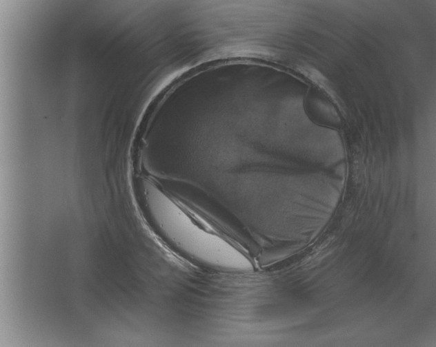 X0000067461024200604281823