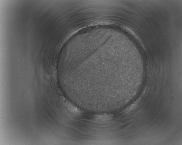 X0000067461025200604281823