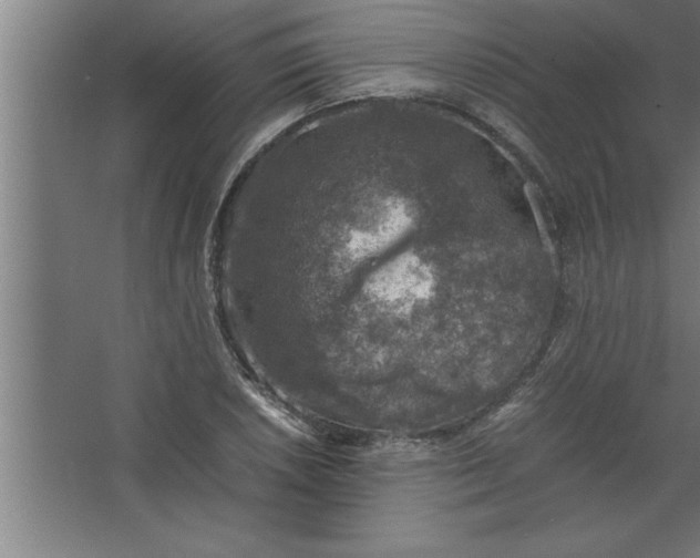 X0000067461026200604281823