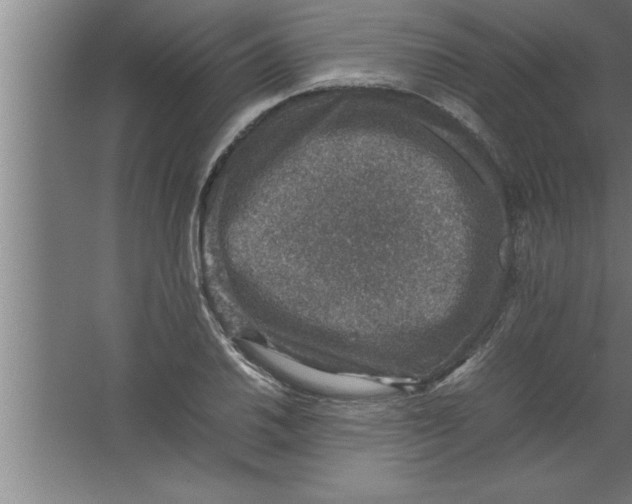 X0000067461030200604281823