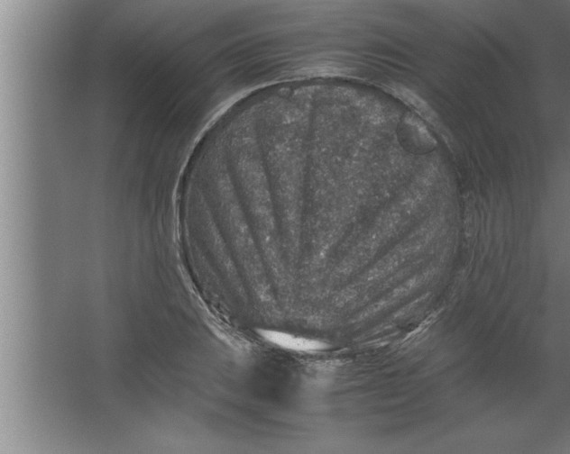 X0000067461031200604281823